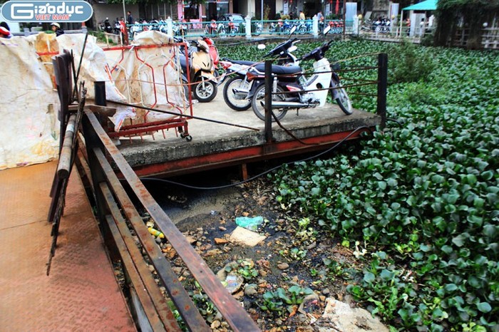 Bị "chặt chém" như vậy nhưng “con tàu ma” ở Hồ Tây bốc mùi hôi thối vì rác rến xung quanh vẫn thu hút rất nhiều các nhóm thanh niên trẻ tuổi tìm đến.